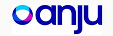 Anju - Array Anju